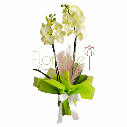 Envía flores a la CDMX