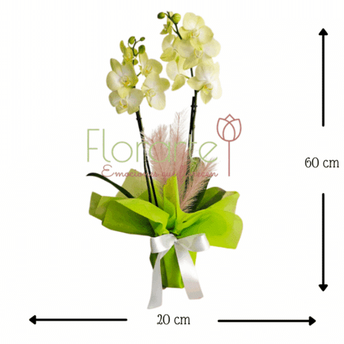 Envía flores a la CDMX