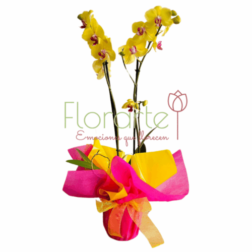 Envía flores a la CDMX