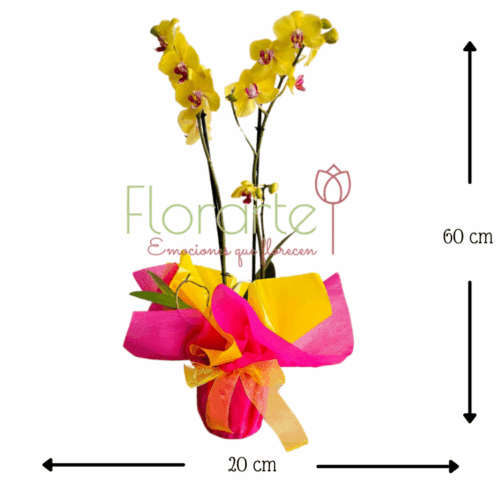 Envía flores a la CDMX