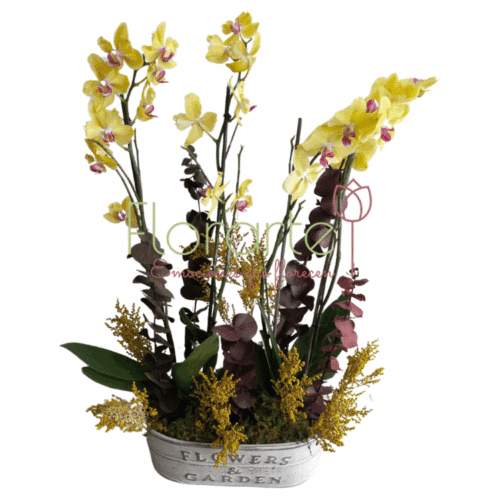 Envía flores a la CDMX