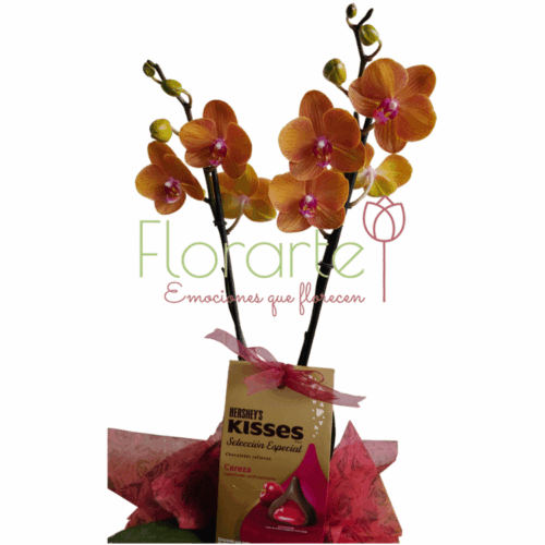 Envía flores a la CDMX