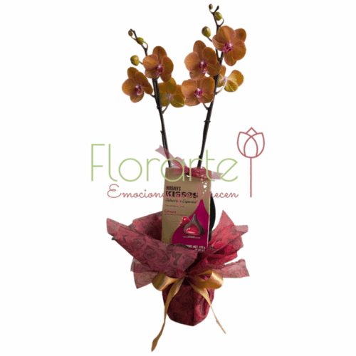 Envía flores a la CDMX