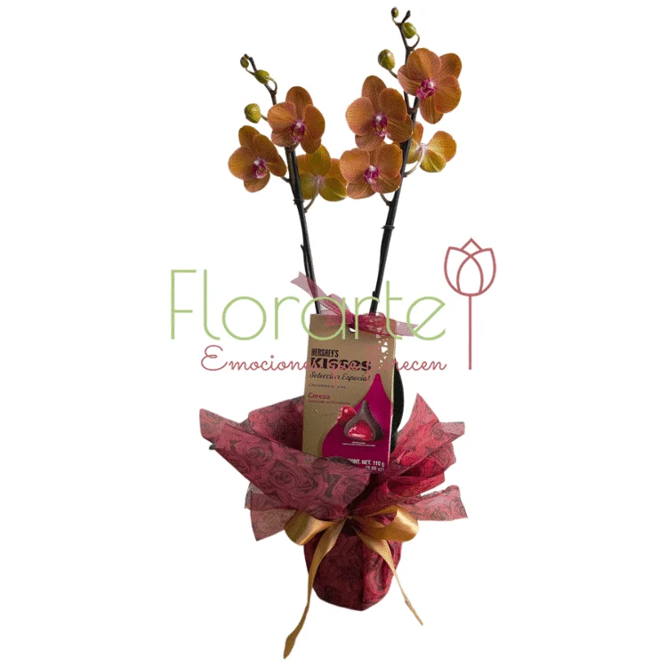 Envía flores a la CDMX