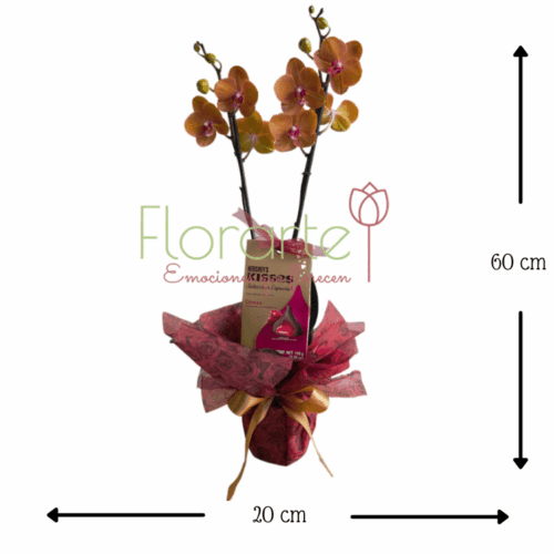 Envía flores a la CDMX