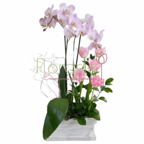 Envía flores a la CDMX