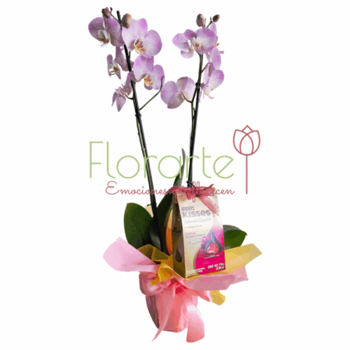 Envía flores a la CDMX