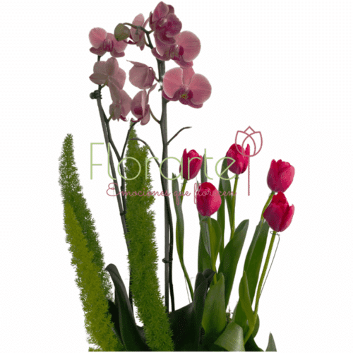 Envía flores a la CDMX