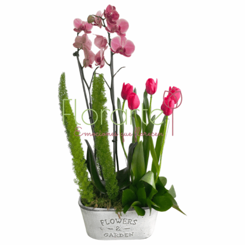 Envía flores a la CDMX