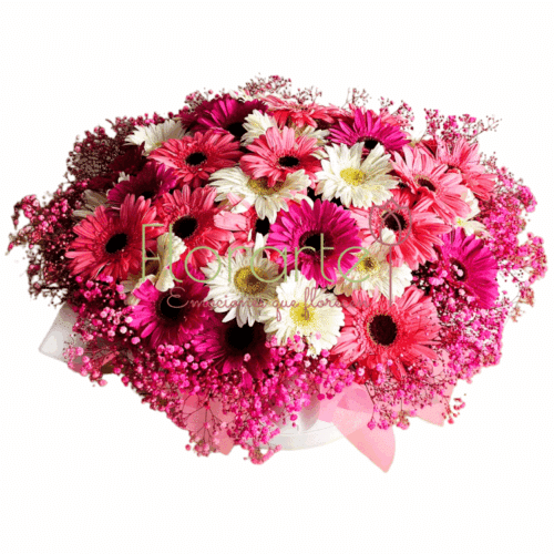 Envía flores a la CDMX