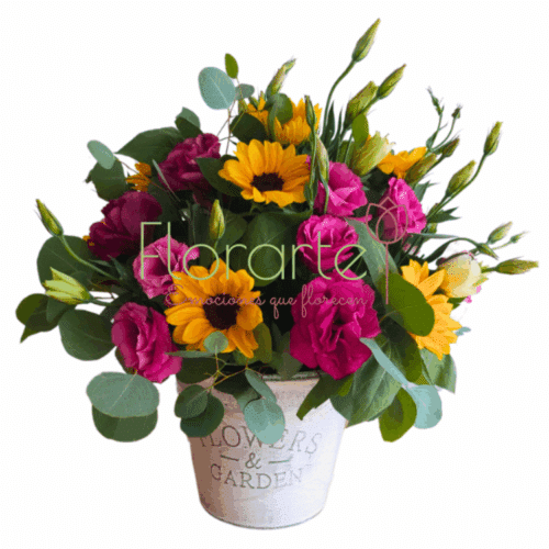 Envía flores a la CDMX