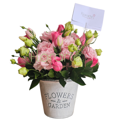 Besos Aroma de Ternura