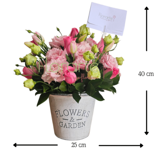 Besos Aroma de TernuraMED