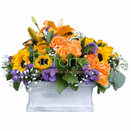 Arreglo floral Mix de SolesLOG