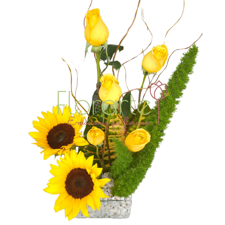 Brillos de Floricienta 1LOG