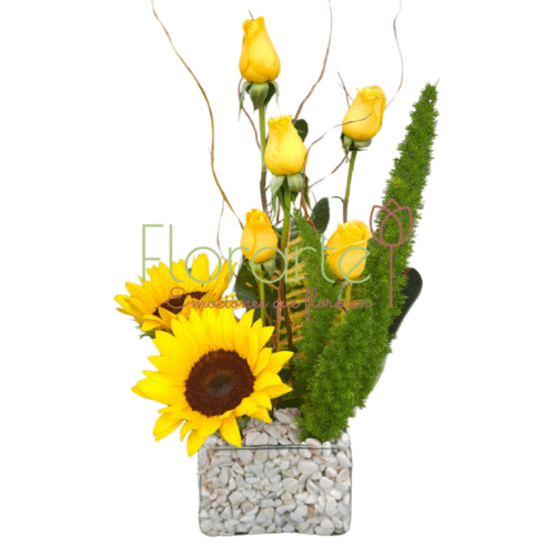 Brillos de Floricienta