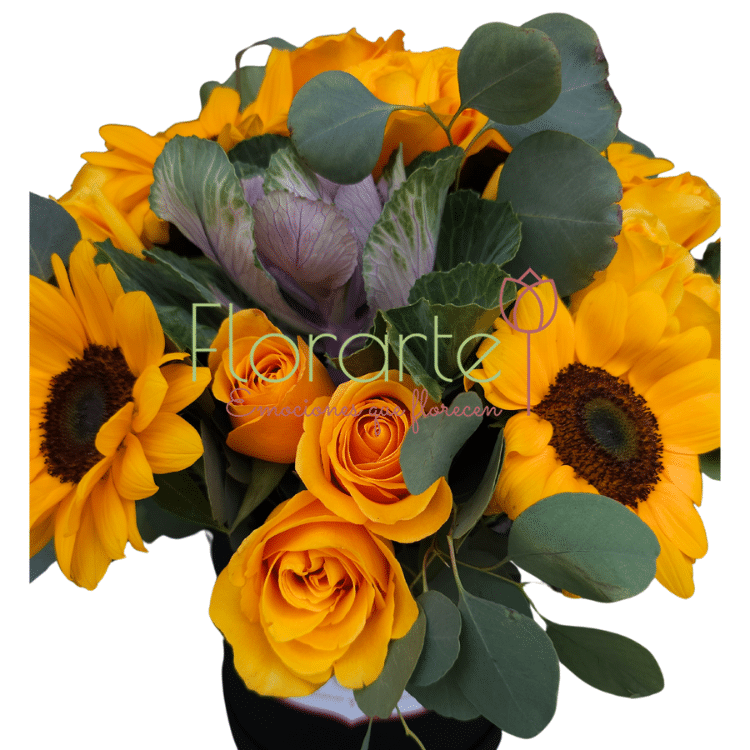 Caja de Flores Encanto de Soles Inolvidables 2LOG