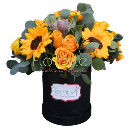 Caja de Flores Encanto de Soles InolvidablesLOG