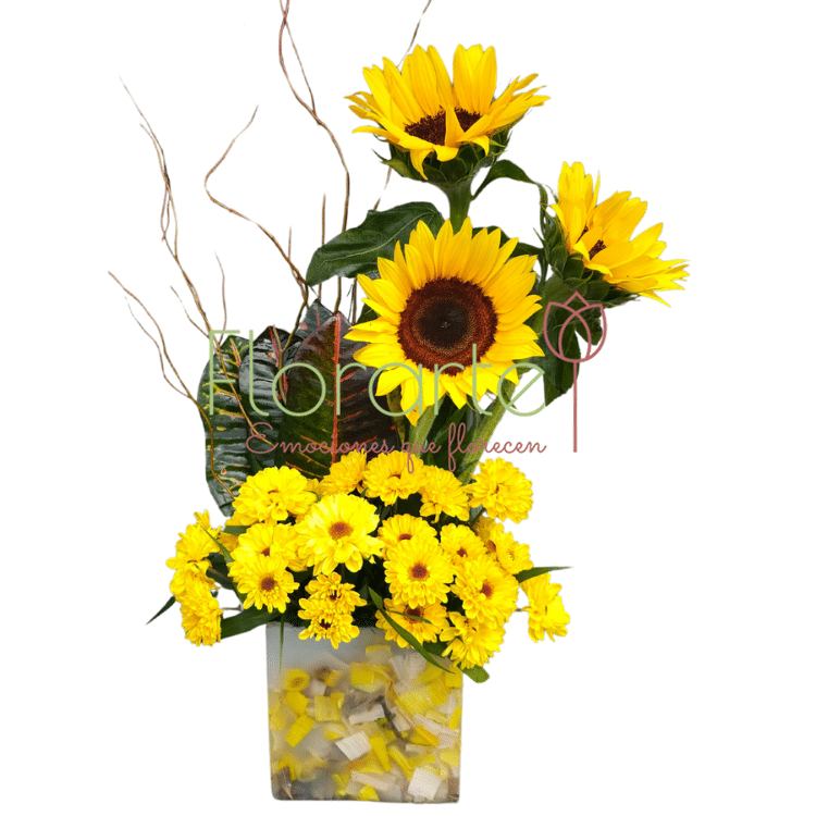 Florencia FloricientaLOG