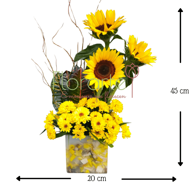 Florencia FloricientaMED