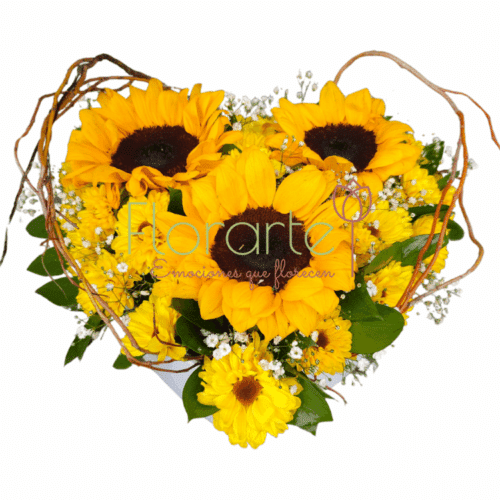 Floricienta de mi Corazón