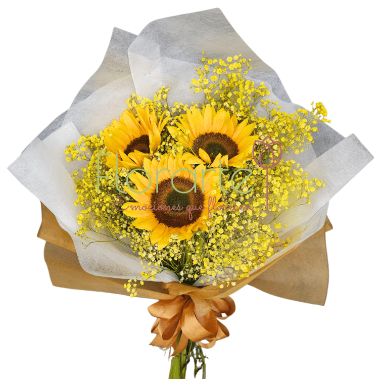 Ramo Floricienta 2LOG