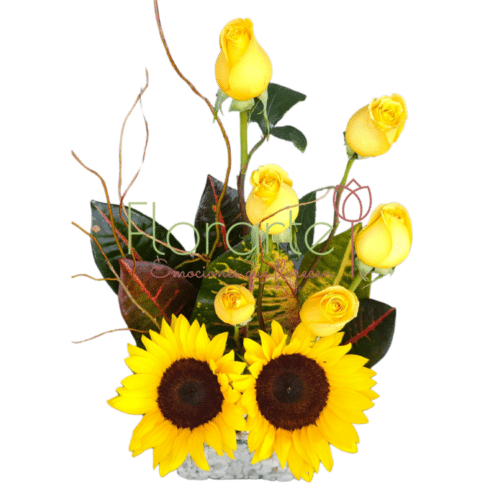 Soles de Floricienta 2LOG