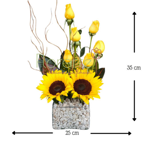 Soles de FloricientaMED