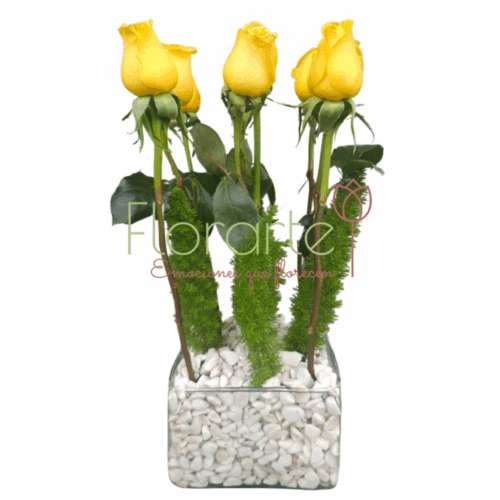 Arreglo Floral: Sembrado de Felicidad