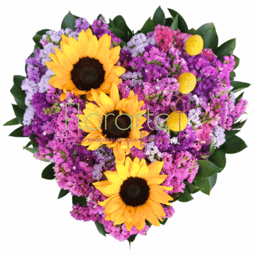 Corazón de Floricienta