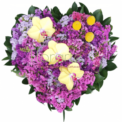 Corazón floral: Irradiante Floricienta