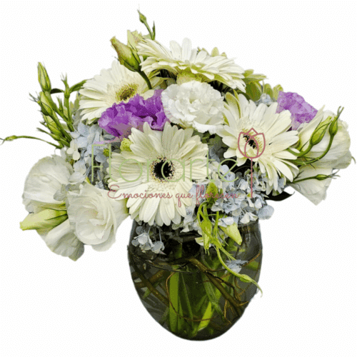 Arreglo Floral: Bella Violeta