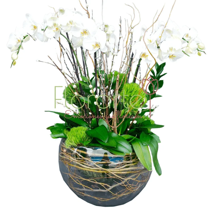 Burbuja Floral: Paraíso de Luz