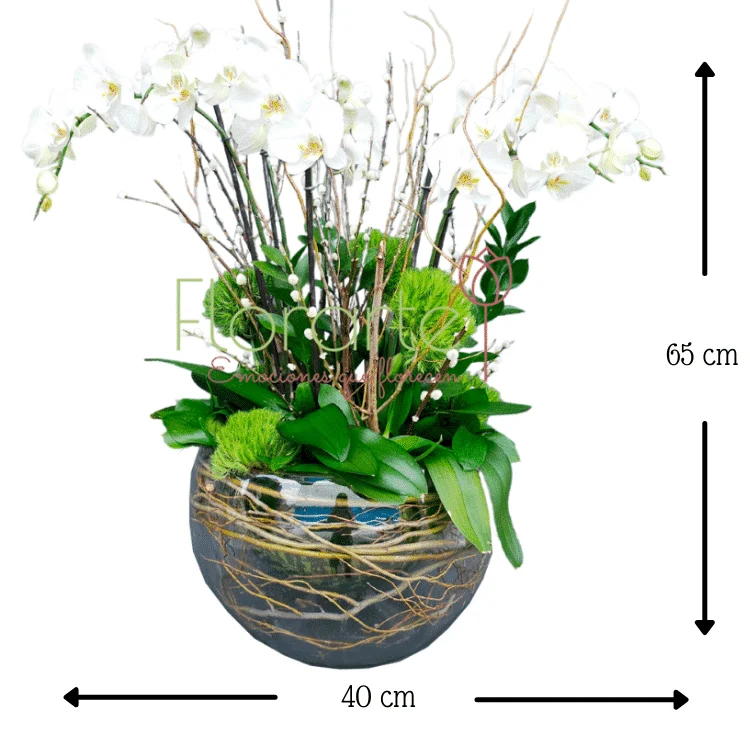 Burbuja Floral: Paraíso de Luz - Imagen 3
