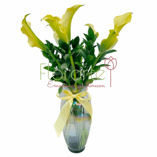 Arreglo Floral: Florencia Amanecer