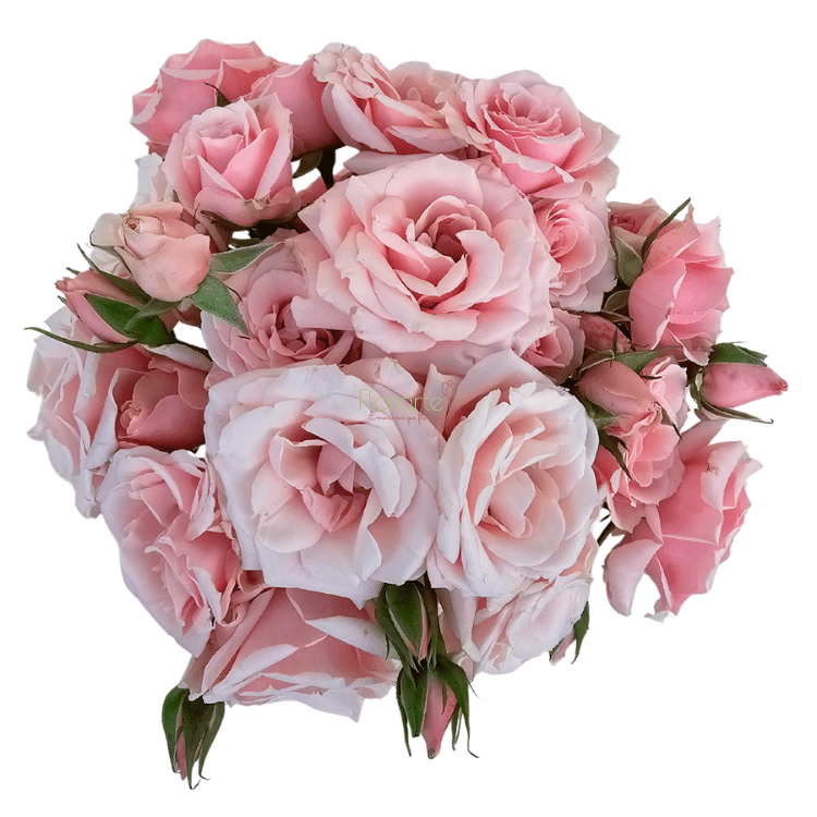 Arreglo Floral Florentina 2LOG