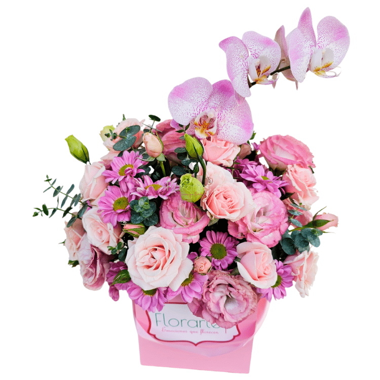 Caja Floral Flores y Mariposas 1LOG