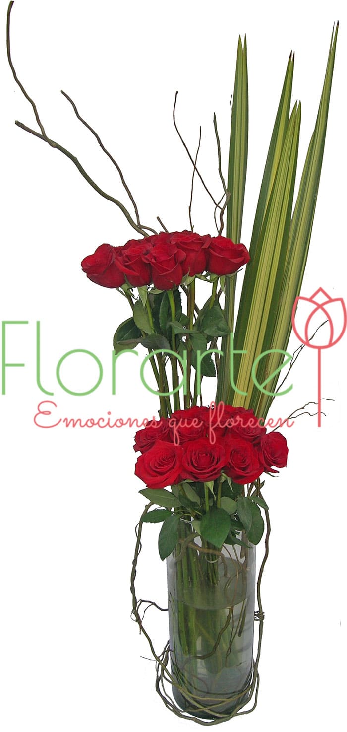 Raíces de Amor Raíces de Amor