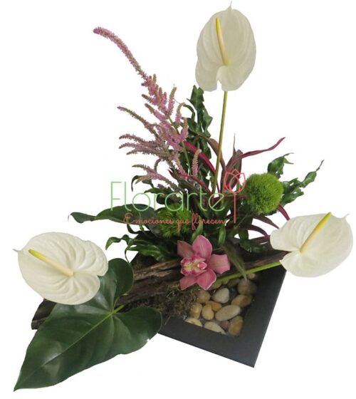 Shangai, Orquídeas y Anturios