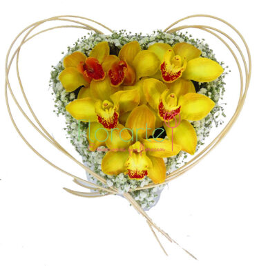 Mi Corazón