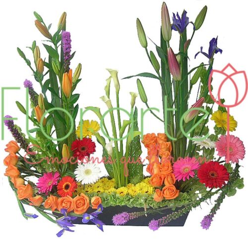 Arreglo Abrazo Primavera Arreglo Abrazo Primavera