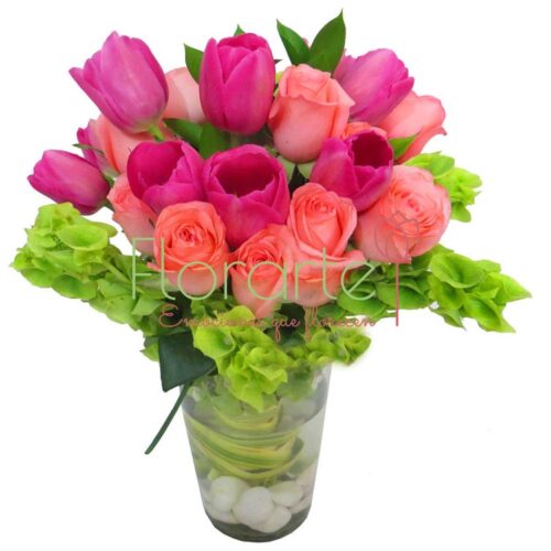 Bella Holanda Bella Holanda