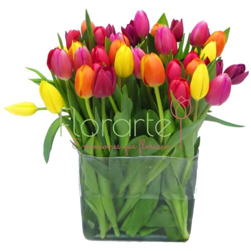 Rebosante de Colores