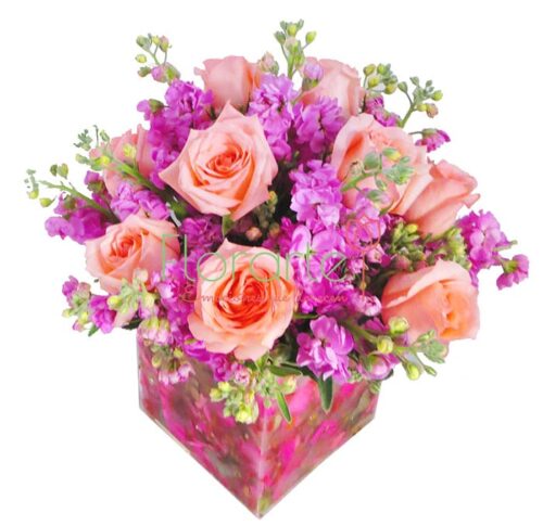 Florencia Cielo Rosa