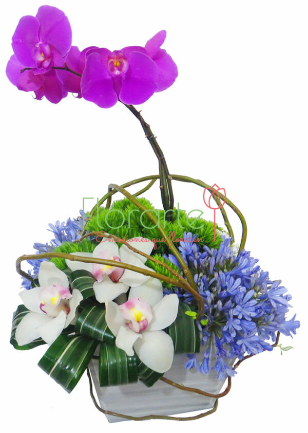 Garza entre flores