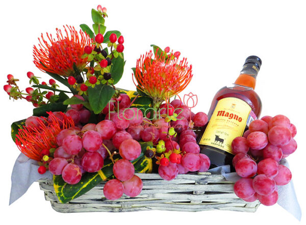 Magno Proteas y Uvas