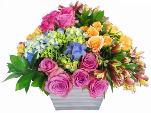 Antigüo París Verano