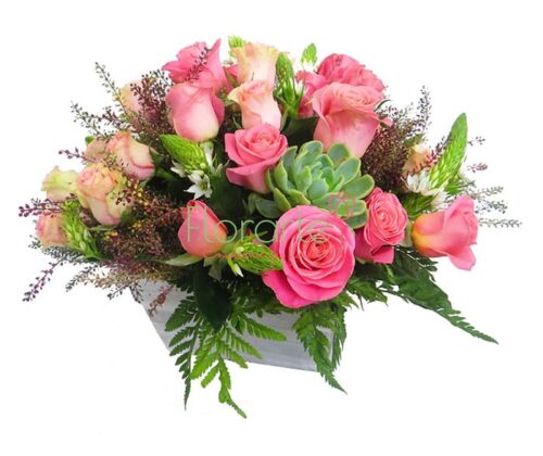 Antigüo París Felicidad