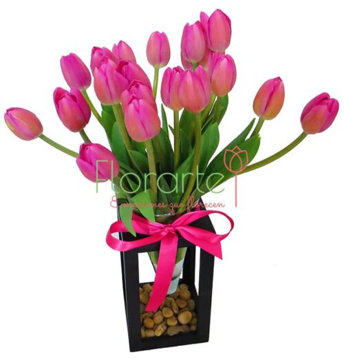 Babel Labios Rosas 20 Tulipanes