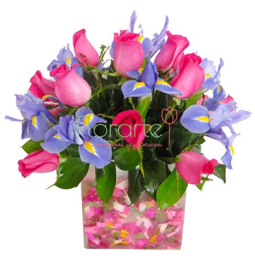 Florencia Magía Azúl